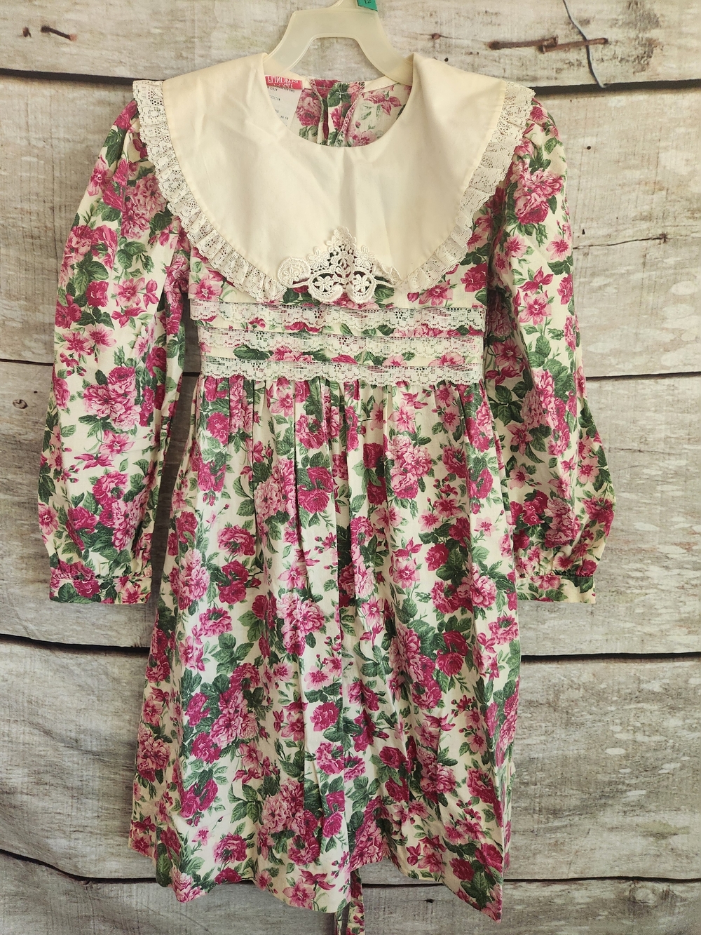 Vintage Girls Floral Dress with Lace Bib Collar